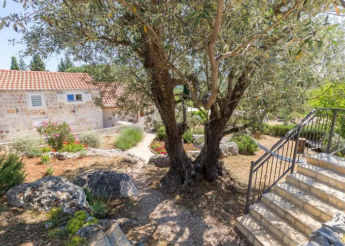 Olive Garden Apartment