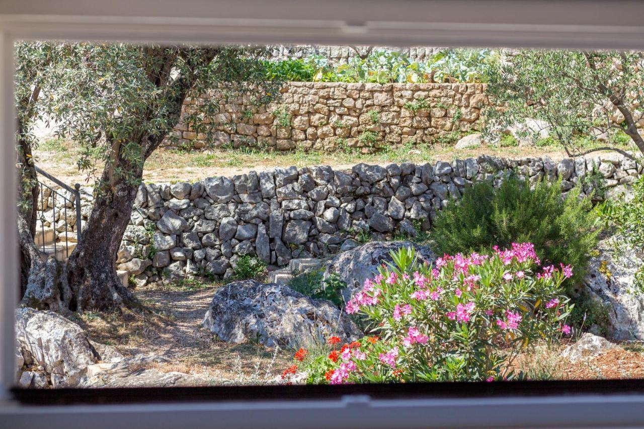 Apartma Olive Garden